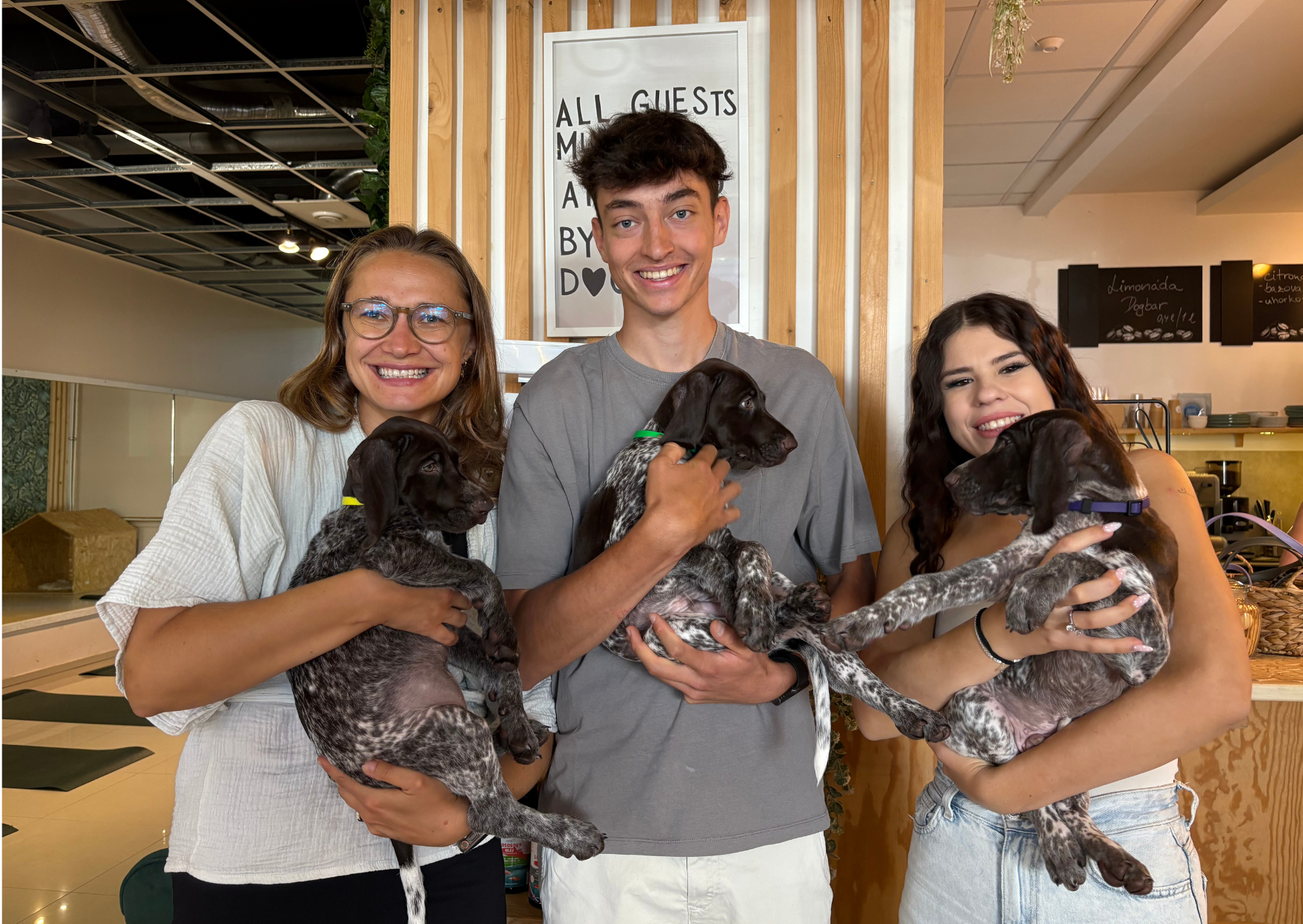 Dog Bar & Lounge