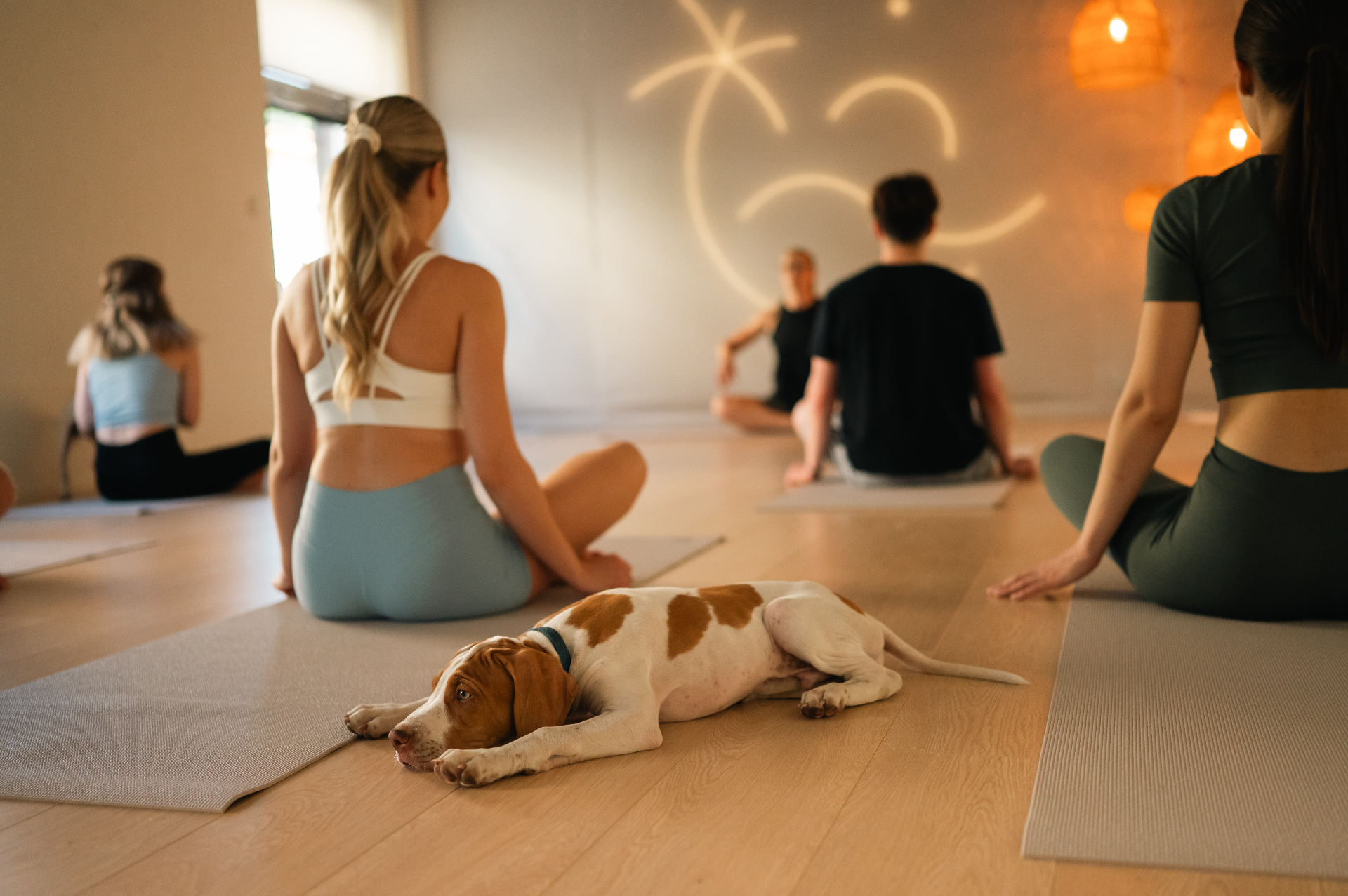 Šteniatko v náručí – wellness zážitok dogga.sk